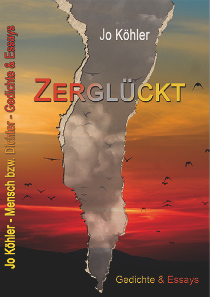 Buchcover: "Zerglückt" von Jo Köhler